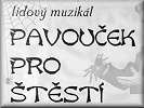 Pavouek pro tst