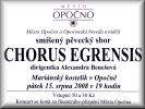 CHORUS EGRENSIS-plakt