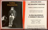 Rozvod-plakát