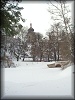 Garden pond in winter