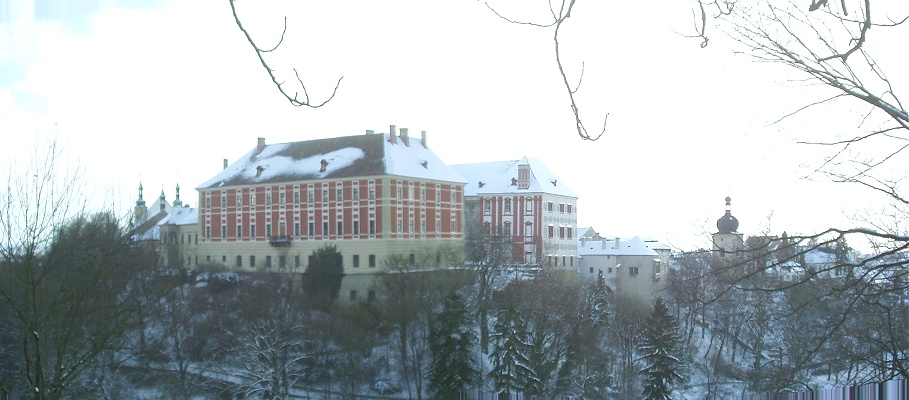 Castle - winter panorama